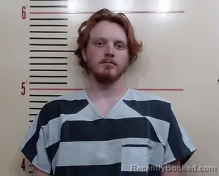 Mugshot of TYLER JACKSON EDWARDS