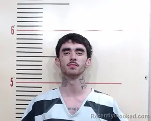 Mugshot of RANGER LEE DOLE PLATT booked in Parker County, Texas on March 13, 2026