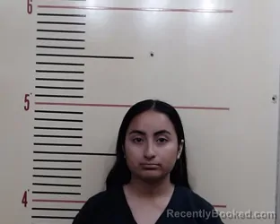 Mugshot of SUMMER ARIANA MESTA