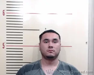 Mugshot of NICOLAS THOMAS LOGAN booked in Parker County, Texas on March 17, 2026