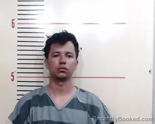 Mugshot of JUAN FERNANDO VARGAS BRIONES booked in Parker County, Texas on March 20, 2026