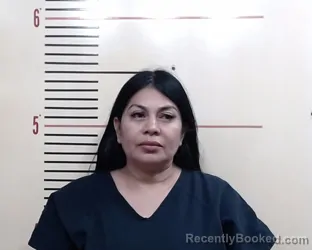 Mugshot of DORILA SANCHEZ ARGUETA booked in Parker County, Texas on March 21, 2026