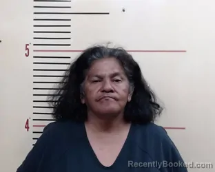 Mugshot of Serena Sylvia Garcia booked in Parker County, Texas on March 26, 2026