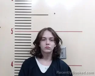 Mugshot of Mia Anagail Perkins booked in Parker County, Texas on March 26, 2026