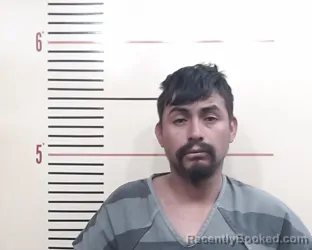 Mugshot of SANTIAGO ROMAN-GALLARDO booked in Parker County, Texas on March 29, 2026