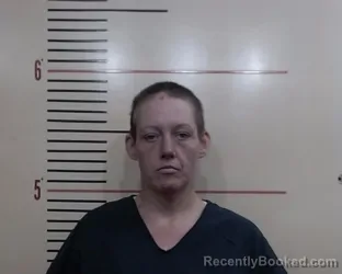 Mugshot of Rhiannon Elizabeth Devitt booked in Parker County, Texas on March 30, 2026