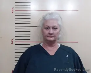 Mugshot of Kimberly Renee Wolfe
