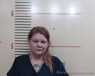 Mugshot of HEATHER RENEE HASKINS booked in Parker County, Texas on April 2, 2026