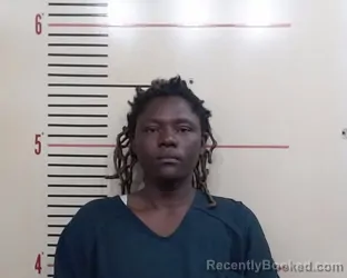 Mugshot of ELKE GILBERT booked in Parker County, Texas on April 3, 2026