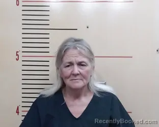 Mugshot of ROBIN ROCHELLE GORE booked in Parker County, Texas on April 3, 2026