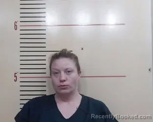 Mugshot of Fancy Renee Finley booked in Parker County, Texas on April 16, 2026