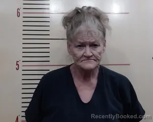 Mugshot of KRIS MARIE MELTON booked in Parker County, Texas on April 25, 2026