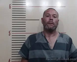 Mugshot of David Michael Lee booked in Parker County, Texas on April 25, 2026