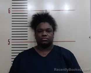 Mugshot of Lanajia Shantay Yvette Miller booked in Parker County, Texas on April 30, 2026