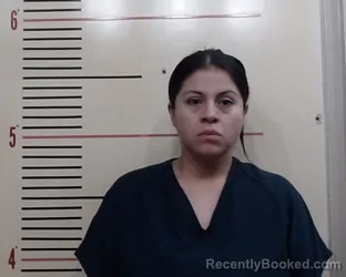 Mugshot of ELVIA CATARINO booked in Parker County, Texas on May 2, 2026