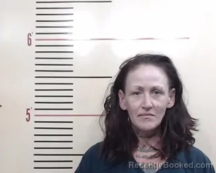 Mugshot of CANDICE CHERON MCDONALD booked in Parker County, Texas on May 5, 2026