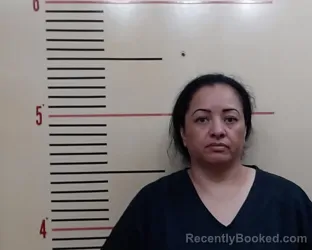 Mugshot of GUADALUPE CASTILLO booked in Parker County, Texas on May 29, 2026