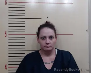 Mugshot of AMANDA MICHELLE VAN DEVENDER booked in Parker County, Texas on June 16, 2026