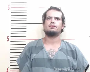 Mugshot of Raul Gustavo Franco booked in Parker County, Texas on July 28, 2026