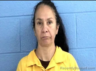 Mugshot of Norma Anel Hernandez booked in Parmer County, Texas on September 9, 2026