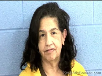 Mugshot of JOSEPHINE NIETO booked in Parmer County, Texas on May 15, 2026