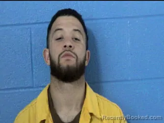 Mugshot of JORDAN DALE DESHOTEL booked in Parmer County, Texas on June 7, 2026