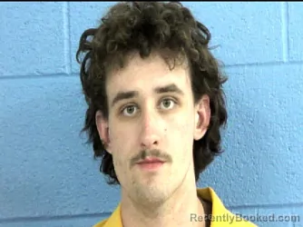 Mugshot of HENRY CHRISTOPHER MOSYCHUK booked in Parmer County, Texas on June 11, 2026