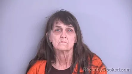 Mugshot of ELAINE ANN DOUGHMAN booked in Bradford County, Florida on April 28, 2026