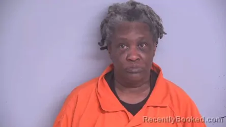 Mugshot of CYNTHIA ANN DESUE booked in Bradford County, Florida on July 10, 2026