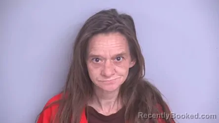 Mugshot of Tina Ann Long booked in Bradford County, Florida on October 19, 2026