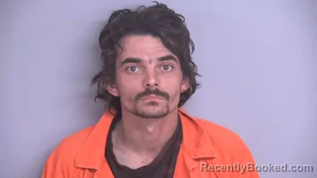 Mugshot of AUSTIN LEE BOWMAN