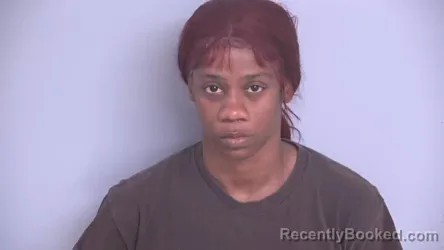 Mugshot of ANYA GWENLEE HANKERSON booked in Bradford County, Florida on April 11, 2026