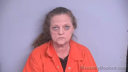 Mugshot of LORI ANN BRYANT