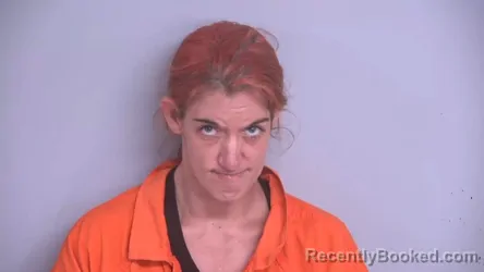 Mugshot of MICHELLE ANN FINLEY booked in Bradford County, Florida on June 27, 2026