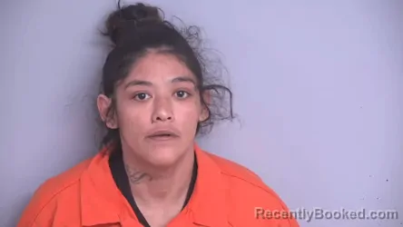 Mugshot of JENNY KAY HERNANDEZ