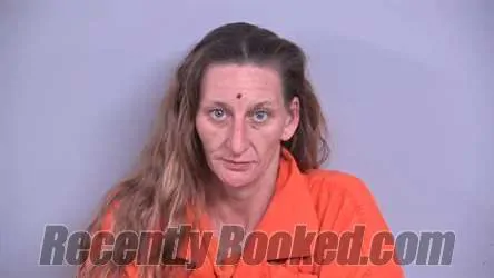 Booking photo from Bradford County, Florida