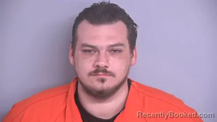 Mugshot of DAVID LEE DENMARK