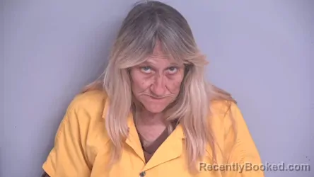 Mugshot of MARTHA LINN VAN VLEET