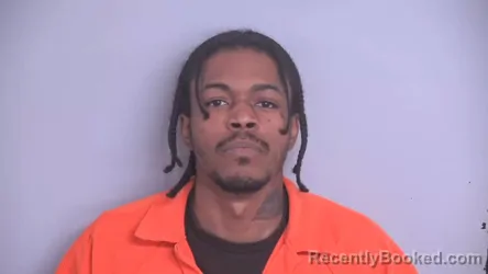 Mugshot of DAVID XAVIER BROWN