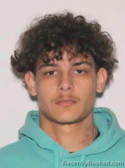 Mugshot of DEVIN ALEJANDRO RAMOS