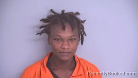 Mugshot of RICHARDLYN BOBBIE JAMISON booked in Bradford County, Florida on July 28, 2026