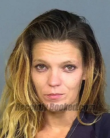 Booking photo from Manatee County, Florida
