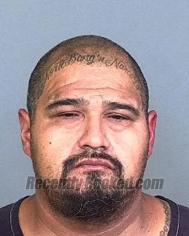 Booking photo from Manatee County, Florida