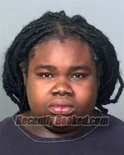 Booking photo from Manatee County, Florida