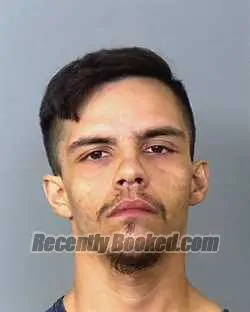 Booking photo from Manatee County, Florida