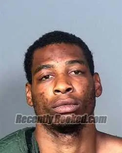 Booking photo from Manatee County, Florida