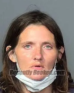 Booking photo from Manatee County, Florida