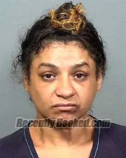 Booking photo from Manatee County, Florida