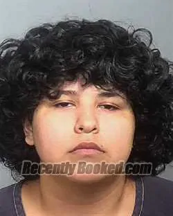 Booking photo from Manatee County, Florida