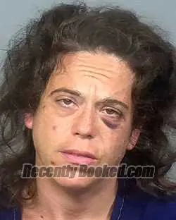 Booking photo from Manatee County, Florida